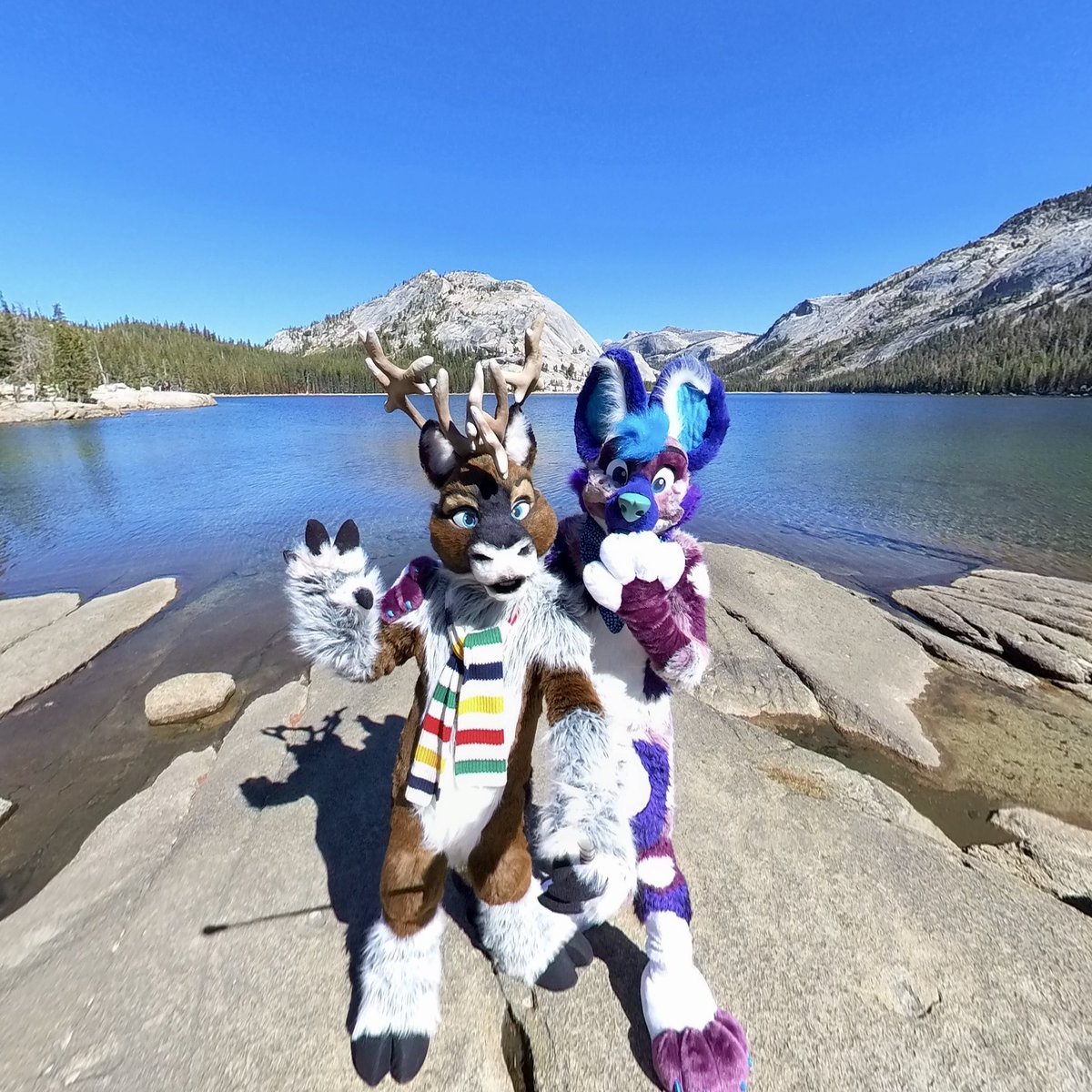 Animals in the wild!
#furry #fursuit