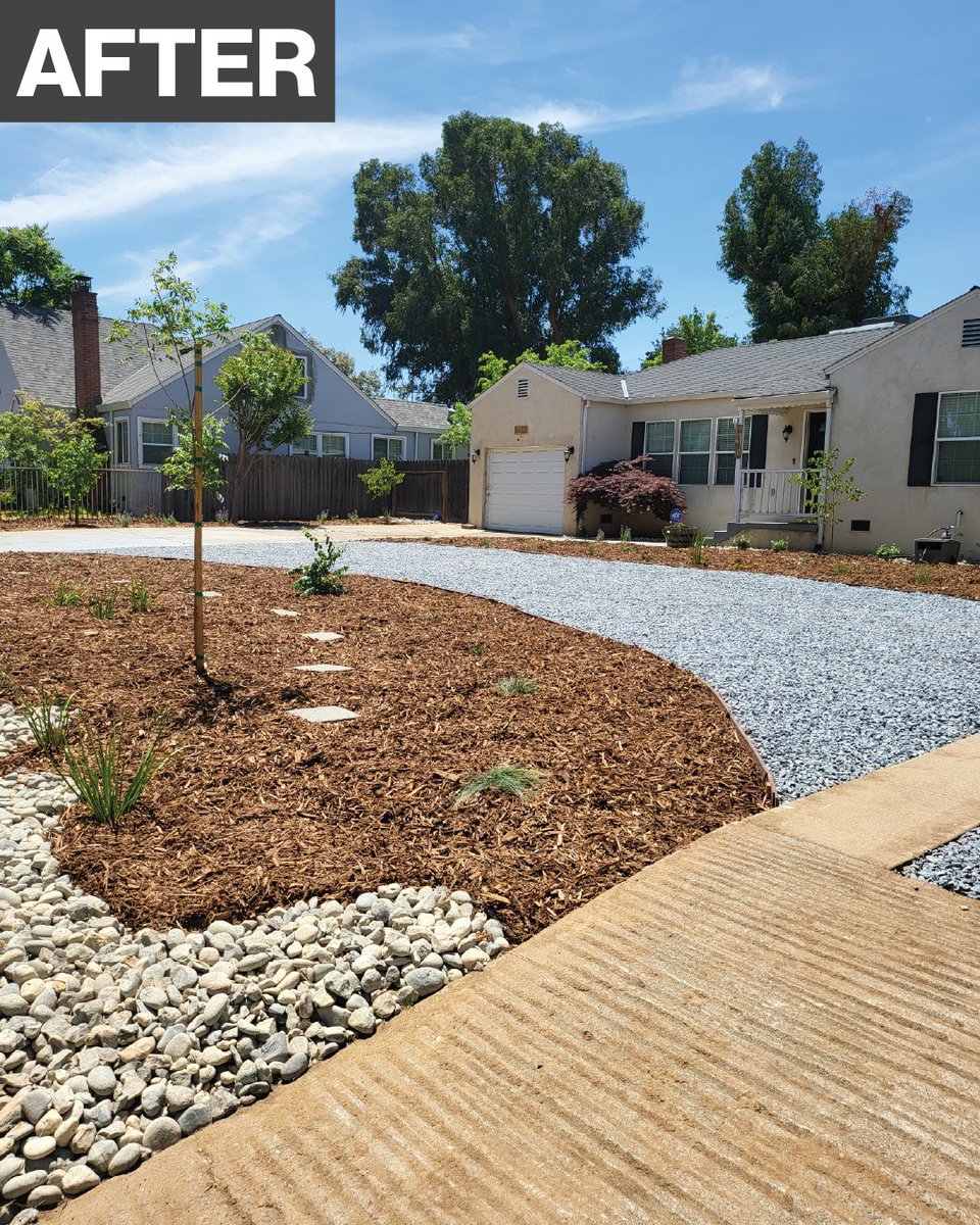 🌿 From Grass to Greatness! 💧✨ With help from Habitat staff, CORE volunteers, and partners at <a href="/jpmorgan/">J.P. Morgan</a>, this yard transformed from water-heavy grass to drought-tolerant landscaping as part of our Rock the Block Oak Park initiative with <a href="/TheCityofSac/">City of Sacramento</a>. 💙