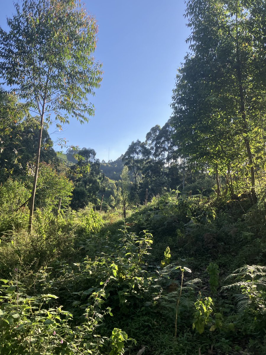 nicholas lowton 🇺🇦 tweet media