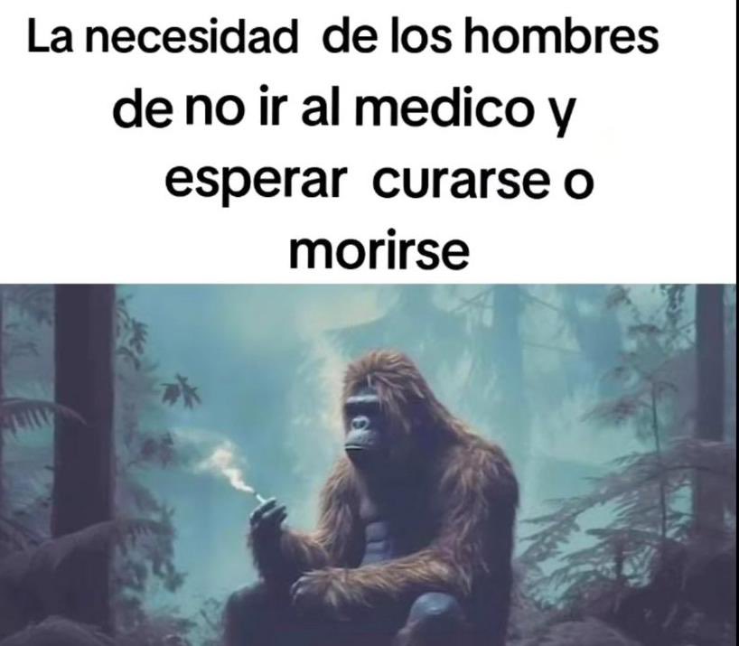 Memakker's tweet image. 