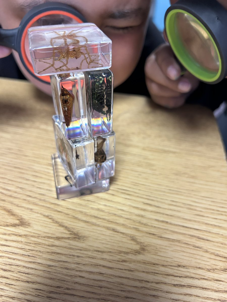 EdHidalgoSD's tweet image. Back in classrooms today. 2nd grade. The power of play and #RIASEC. Rotations.