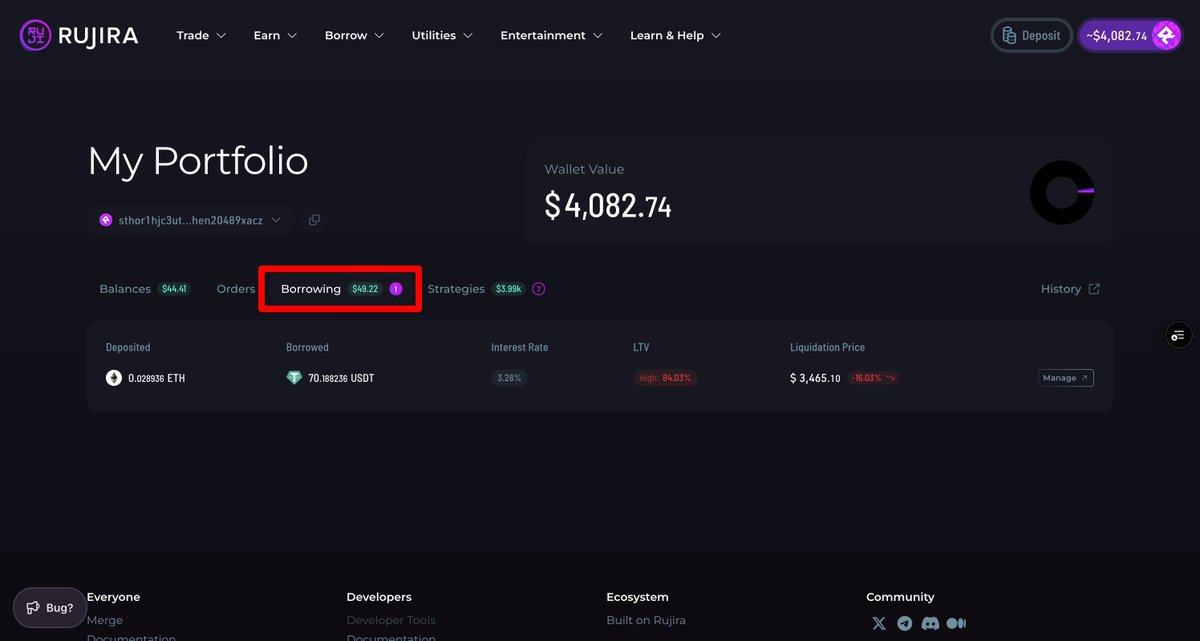 Borrowing in the Portfolio page, the only portfolio page you'll ever need

All chains
All tokens
All wallets

Now with your borrowed positions