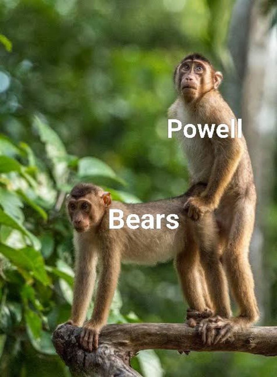 pOOrfolio tweet media