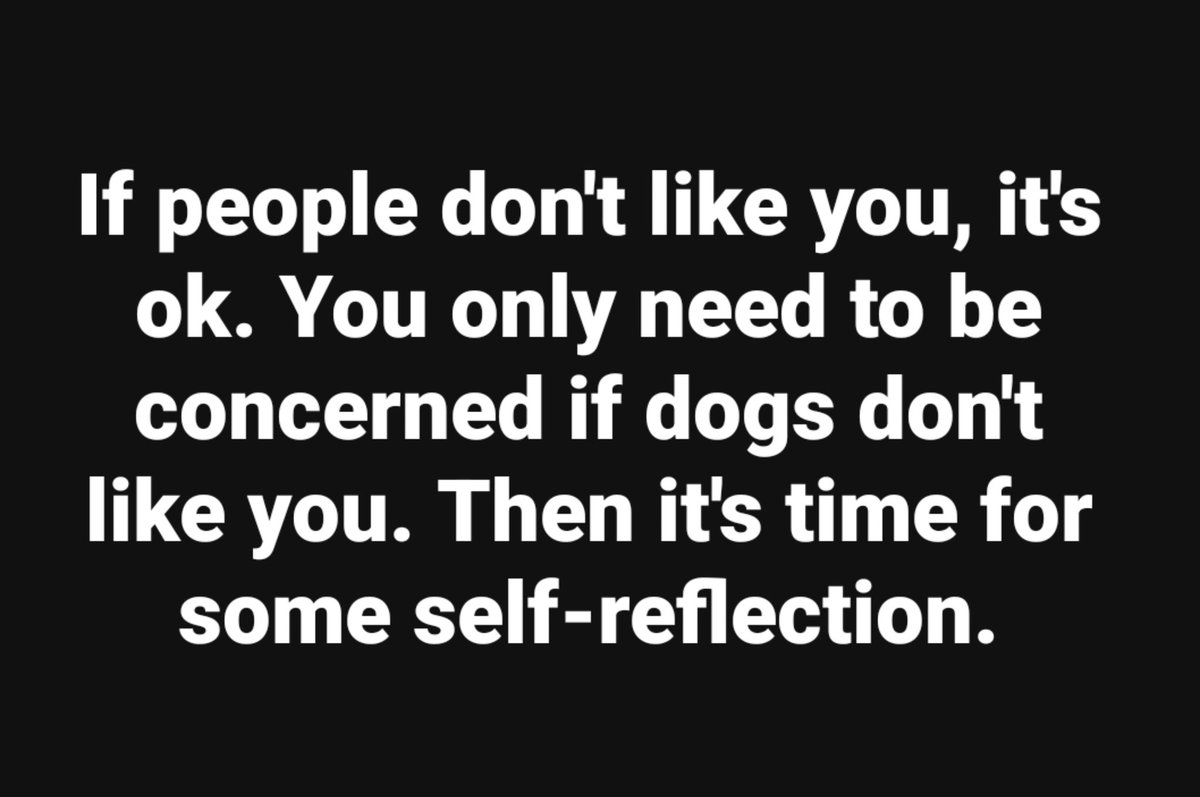🎯