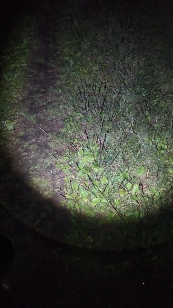 SSufyr's tweet image. #додому