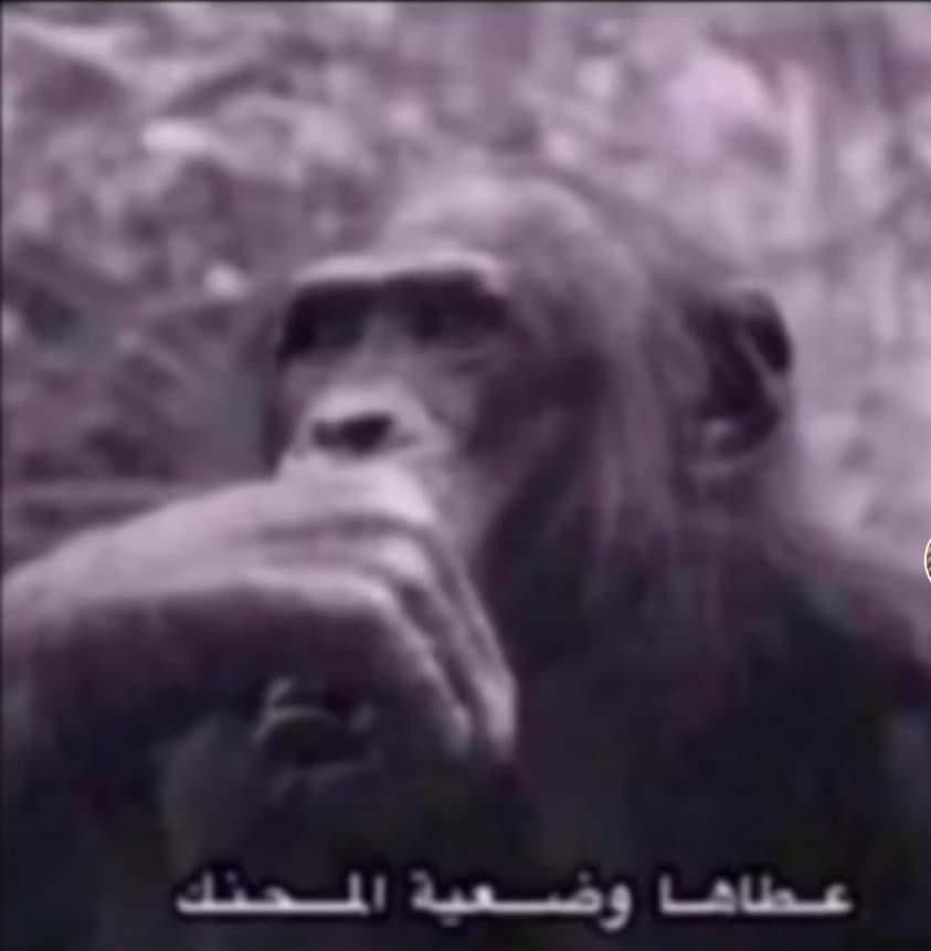 الله المستعان بس