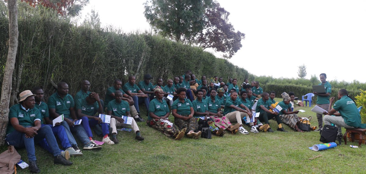 RwandaForestry's tweet image. Guhera kuri uyu wa Kabiri, ku bufatanye n’abafatanyabikorwa batandukanye, Imishinga ya #TREPA na #COMBIO yatangiye guhugura abaturage ba @RwandaEast mu rwego rwo kububakira ubudahangarwa ku mihindagurikire y’ibihe. 
Ni imishinga ishyirwa mu bikorwa bigizwemo uruhare n’abaturage.