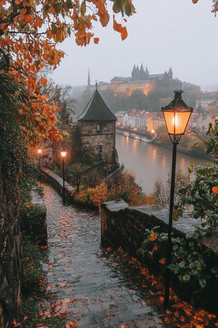 Autumn splendour.