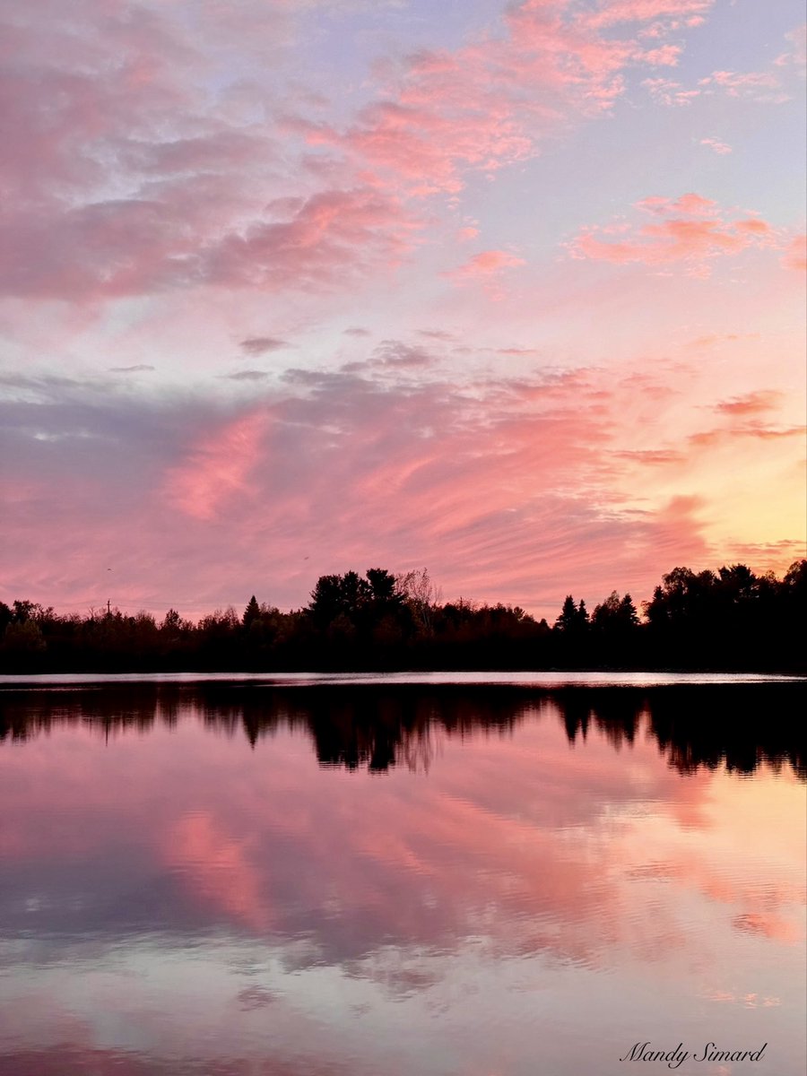 Mandy Simard tweet media