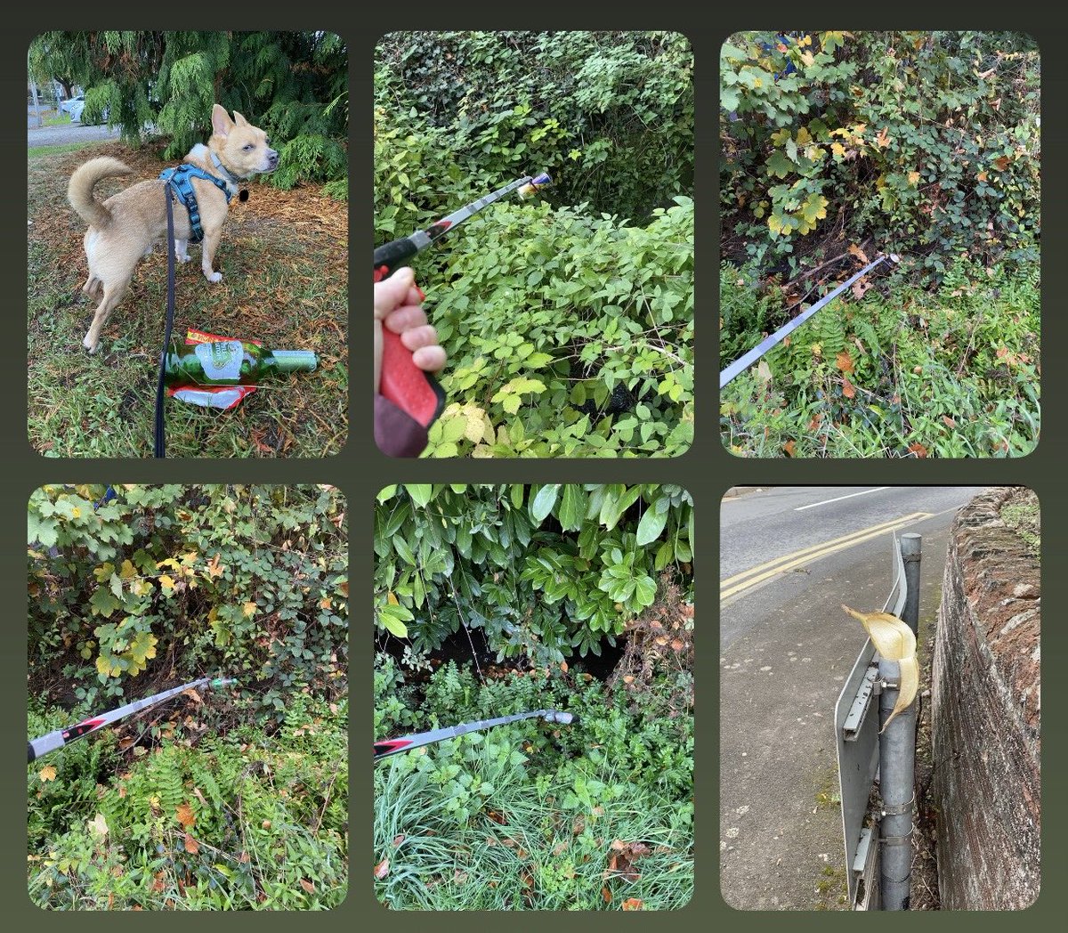 sabrown134's tweet photo. 14th October - some of the litter we found on our morning #sniffari @pawsonplastic 🐾 #PainInTheGlass then mainly fishing litter out of the brook (behind @Morrisons) and finally sad to see this #StreetSign mistaken for a bin 🙁 (all now binned) ⬇️ https://t.co/vjn8BV61Xb
