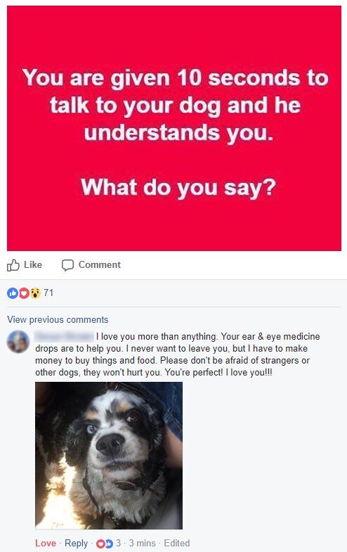 WholesomeMemes (@wholesomememe) on Twitter photo 