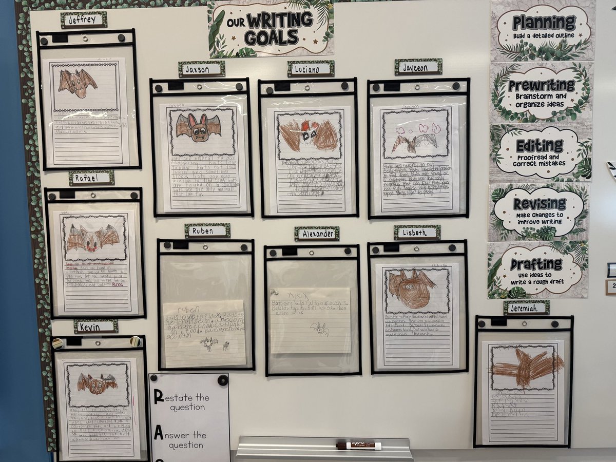 Informational writing on bats <a href="/PSDRI_Schools/">Pawtucket School Department</a> #selfcontained #baldwin