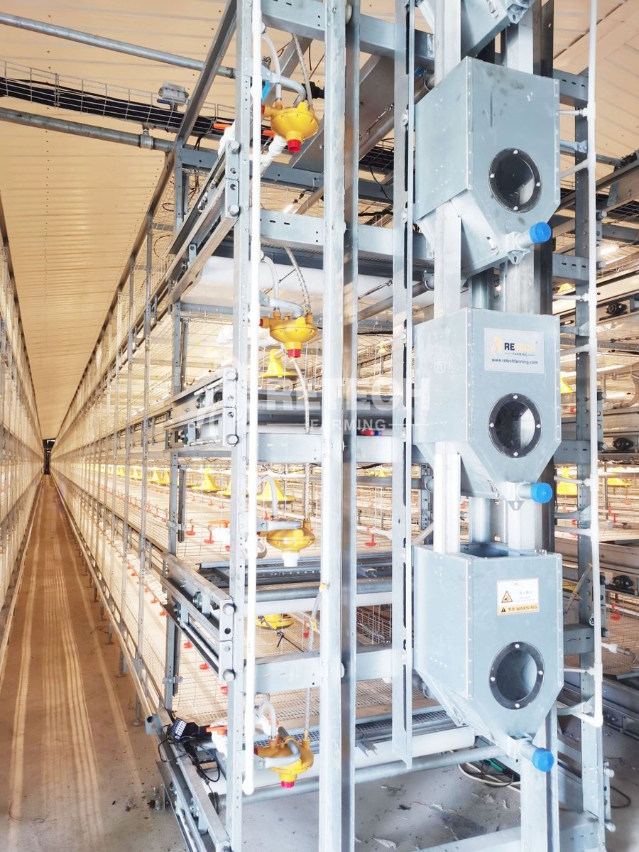 retechfarming's tweet image. 📍Philippines Broiler Chicken Project

We can customize a turnkey solution for chicken farming business. 

📲 WhatsApp: +86 185 6181 8850
📧 Email: admin@retechfarming.com
🌐 Website: retechfarming.com

#retechfarming #chickenfarm #chickenfarming #poultryfarm #broilercage