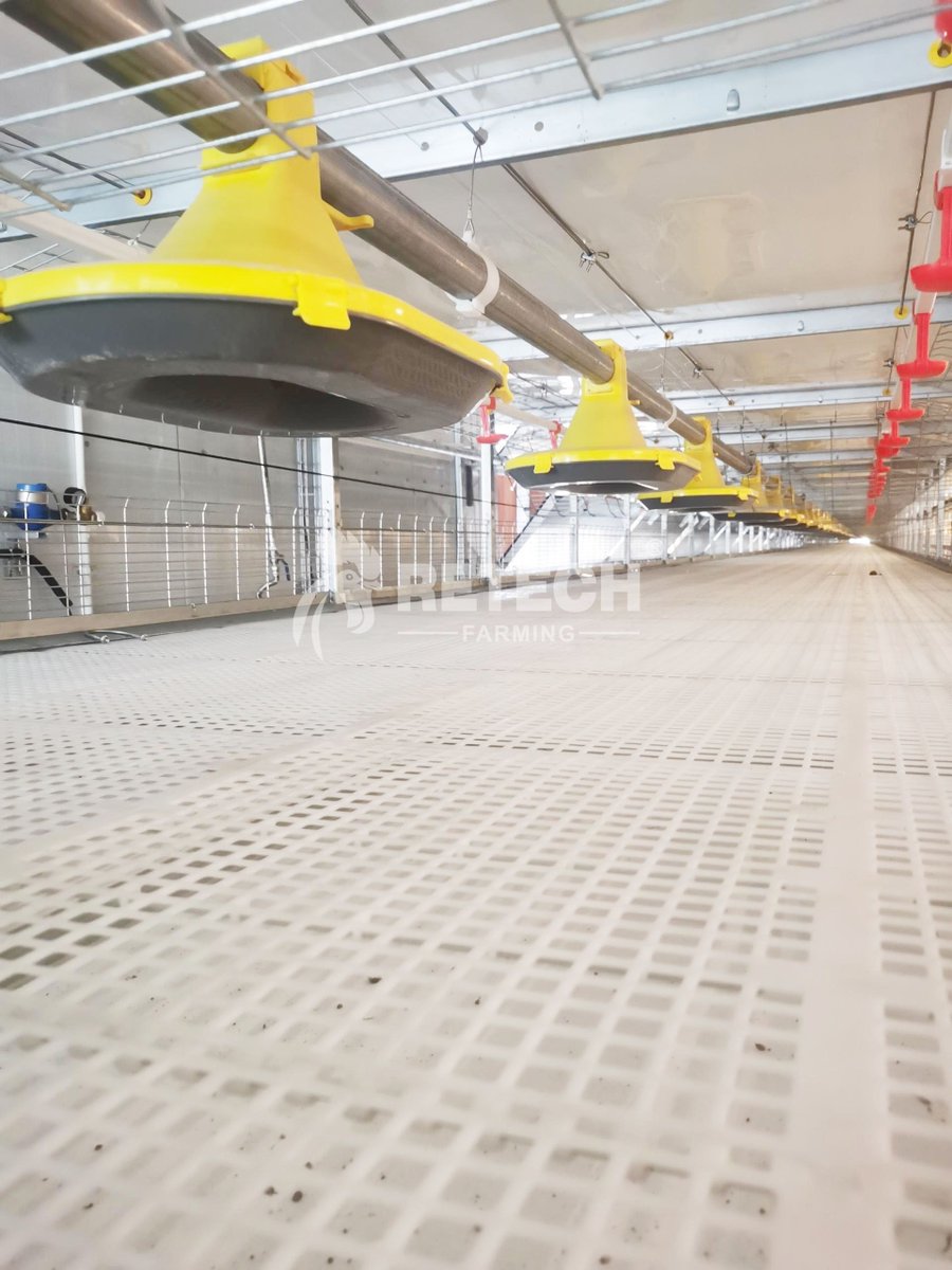 retechfarming's tweet image. 📍Philippines Broiler Chicken Project

We can customize a turnkey solution for chicken farming business. 

📲 WhatsApp: +86 185 6181 8850
📧 Email: admin@retechfarming.com
🌐 Website: retechfarming.com

#retechfarming #chickenfarm #chickenfarming #poultryfarm #broilercage