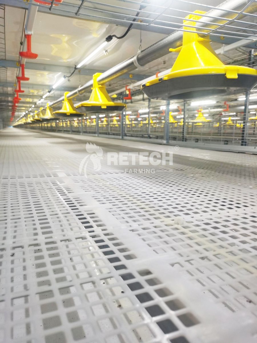 retechfarming's tweet image. 📍Philippines Broiler Chicken Project

We can customize a turnkey solution for chicken farming business. 

📲 WhatsApp: +86 185 6181 8850
📧 Email: admin@retechfarming.com
🌐 Website: retechfarming.com

#retechfarming #chickenfarm #chickenfarming #poultryfarm #broilercage