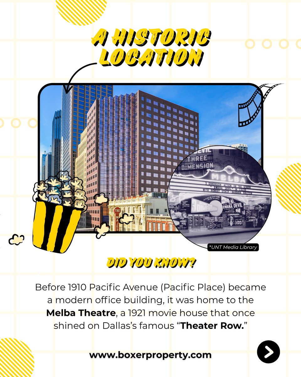 Boxer Property tweet media