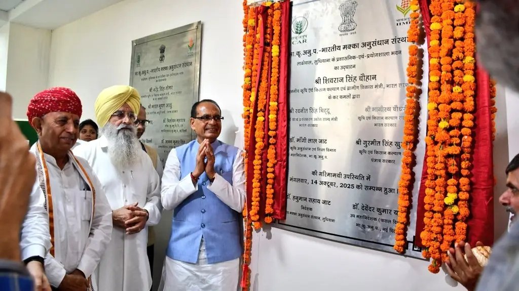 icarindia's tweet image. Union Agriculture Minister Shri Shivraj Singh Chouhan inaugurates ICAR-IIMR's new lab in Ludhiana to boost maize R&amp;amp;D.@ChouhanShivraj @AgriGoI @PIB_India