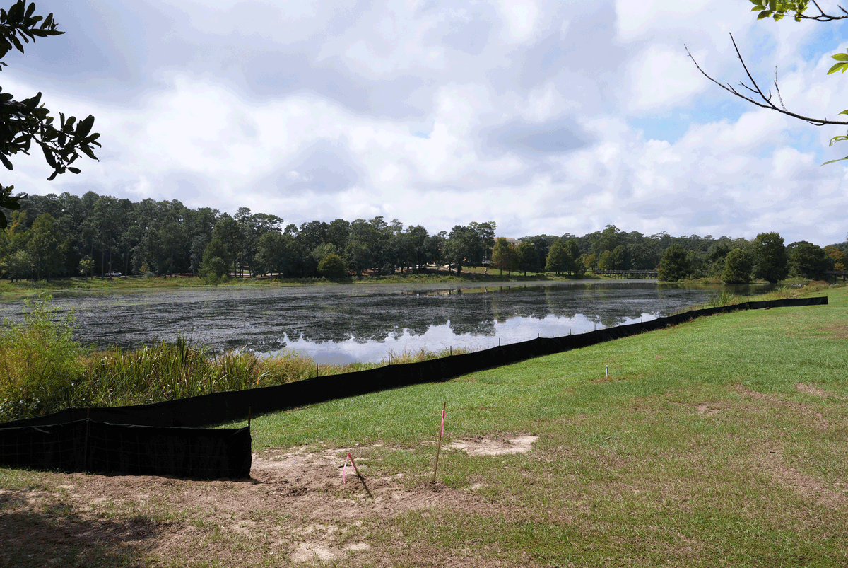 Big changes are happening at Langan Park! 🌿🚧

The project will help restore natural water flow, remove invasive species, and eventually open the lake for kayaking, canoeing, and paddleboarding!