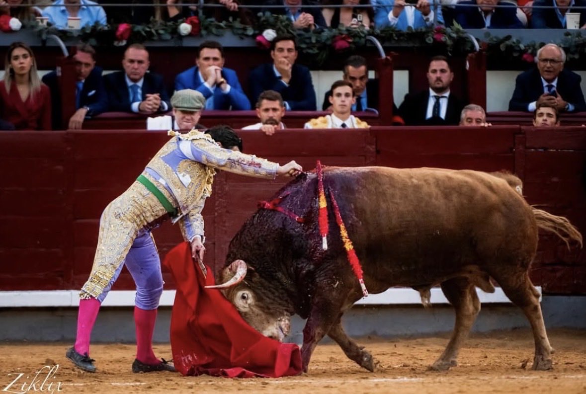 Pureza en la suerte suprema. Por ahí siempre se pone de ejemplo una imagen de Paco Camino y a decir verdad, esta no le va a andar a la zaga.
