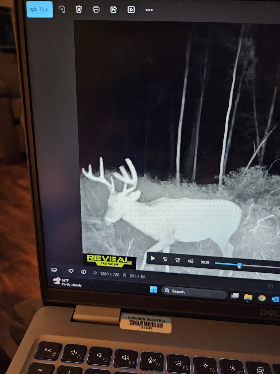 TheMichigan_Man's tweet photo. Angle means everything when it comes to trail cam pictures. When I saw the first picture, pretty nice buck. The next couple, what a monster! 

#Michigan #deerhunting #whitetail #bowseason #fall #hunter #hunting https://t.co/aD8CfS1wnW
