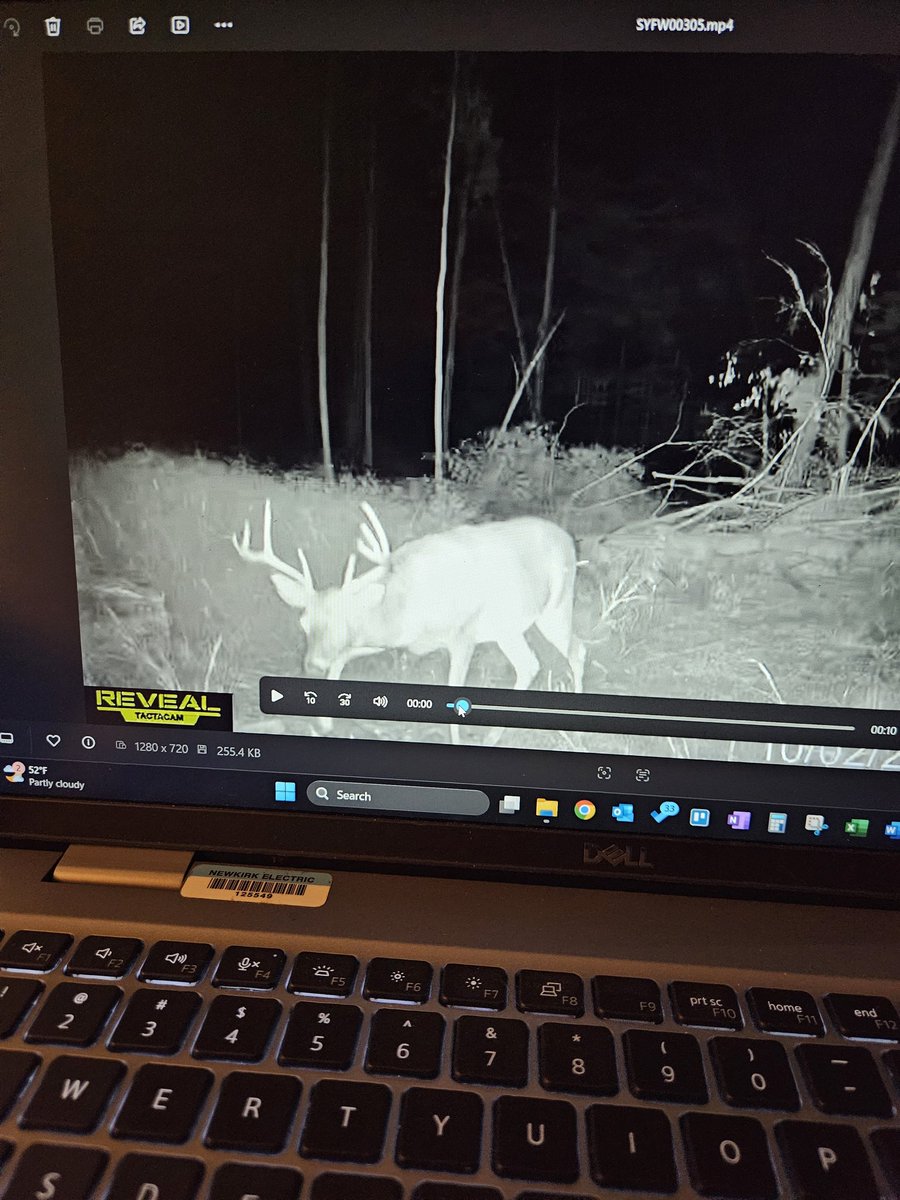 TheMichigan_Man's tweet photo. Angle means everything when it comes to trail cam pictures. When I saw the first picture, pretty nice buck. The next couple, what a monster! 

#Michigan #deerhunting #whitetail #bowseason #fall #hunter #hunting https://t.co/aD8CfS1wnW