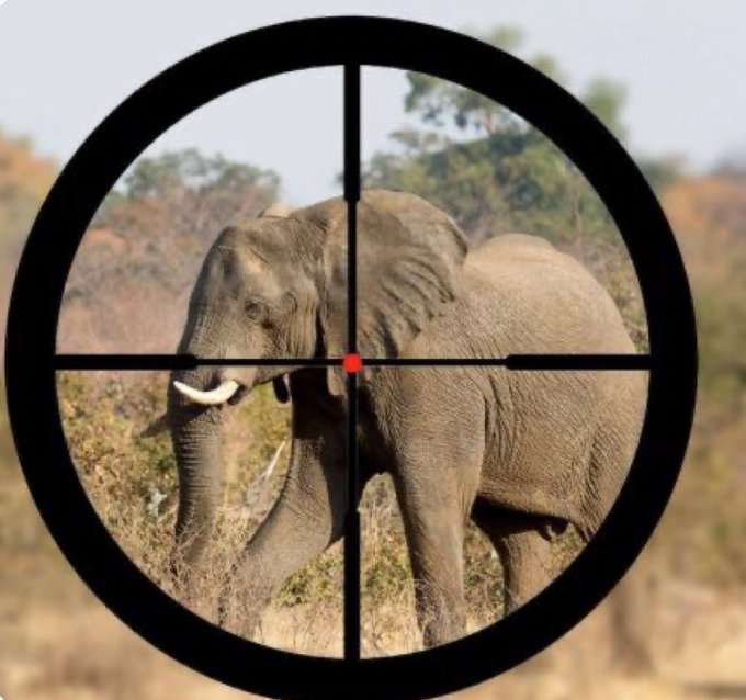 Seriez-vous favorable à une interdiction mondiale de la chasse aux trophées ?   
Répondez simplement par oui ou par non, s'il vous plaît.