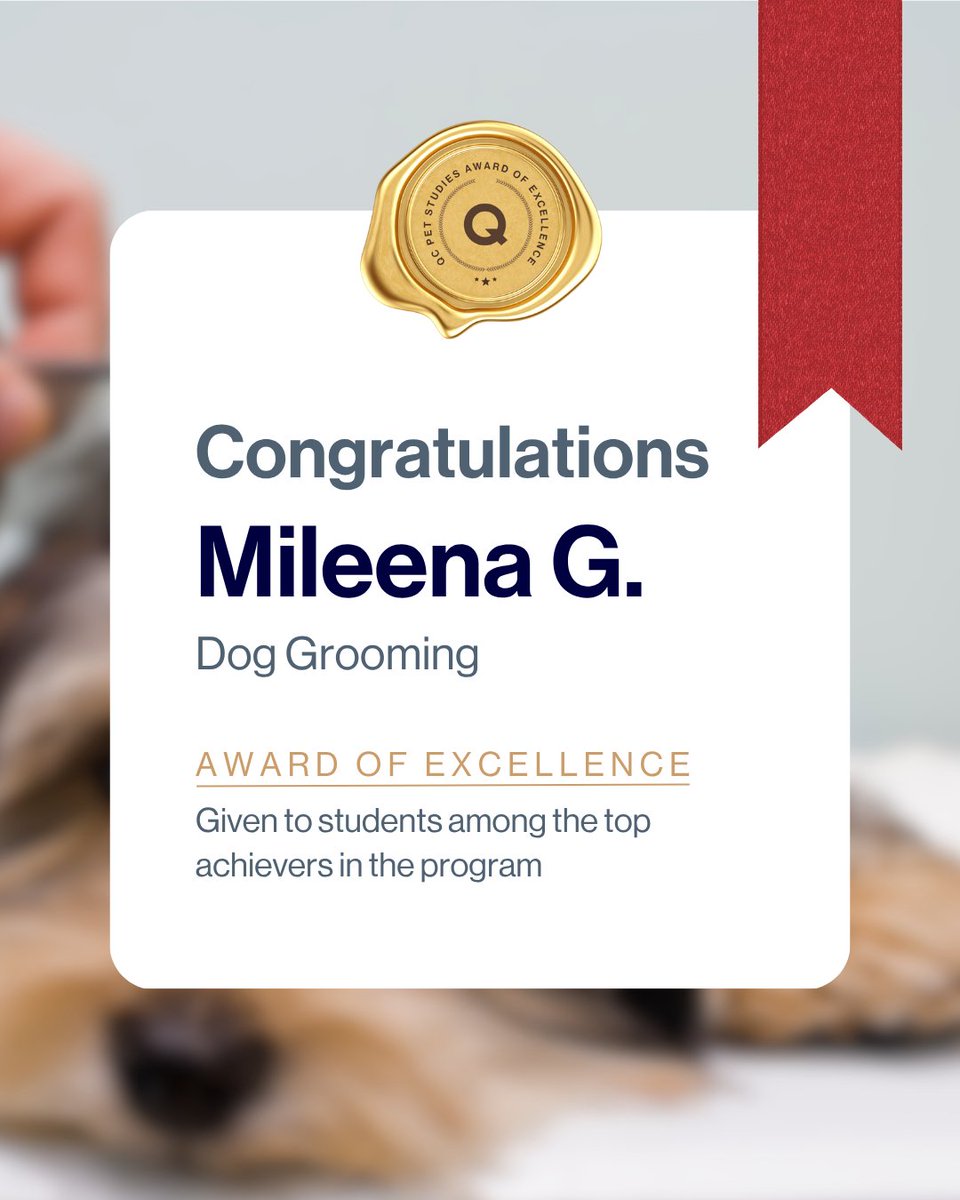 Congrats to this week’s Award of Excellence recipients! 🏆️⁠This honor is reserved for QC students who earn an A- or higher in their course work! 👏⁠
⁠
Start your dream career with dogs today:
🐶 tinyurl.com/2kun9pf5 ⁠
⁠
#QCPetStudies #DogGrooming #DogTraining