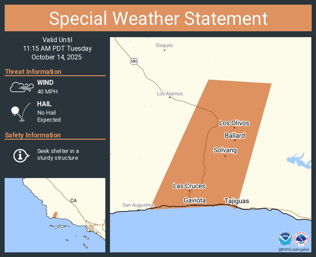 名作　202WVDT-SHM02SCOUT LSCOTTON.WEATHER 名作 202WVDT-SHM02SCOUT LSCOTTON.WEATHER 名作 202WVDT