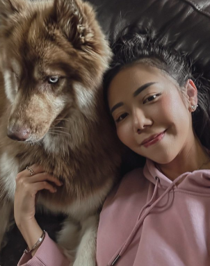 hanalee03108's tweet photo. Home is wherever this fluffy face is. Pure comfort and good vibes. ✨🐾 #CozyVibes #DogLife #FurryFriend #Malamute https://t.co/Y5owwYWdQa