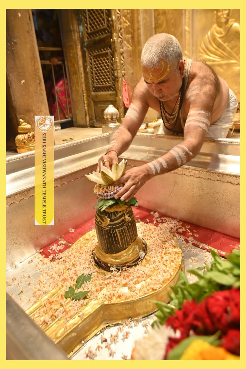 ShriVishwanath's tweet image. आज श्री काशी विश्वनाथ जी की श्रृंगार आरती I
#kashivishwanath #kashi #sanatandharma #banaras