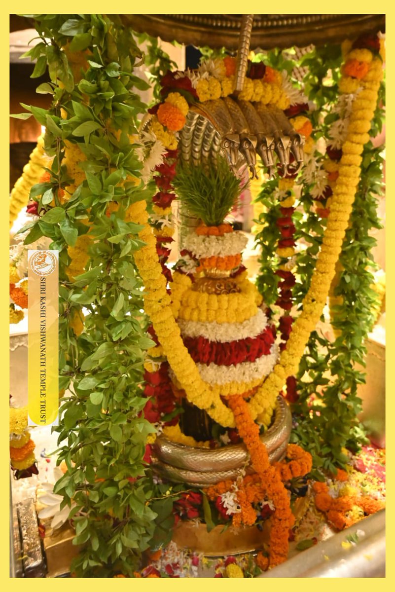 ShriVishwanath's tweet image. आज श्री काशी विश्वनाथ जी की श्रृंगार आरती I
#kashivishwanath #kashi #sanatandharma #banaras