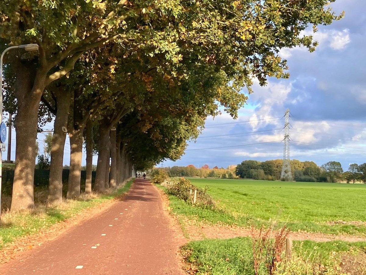 Jolanda Polkamp tweet media