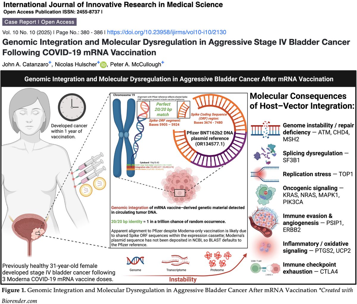 NicHulscher's tweet image. 🚨BREAKING: First Peer-Reviewed Study Finds Direct Molecular Evidence of mRNA “Vaccine” GENOMIC INTEGRATION
In a Stage IV cancer patient, we identified a vaccine-derived Spike gene sequence chimerically fused into chromosome 19 with PERFECT 20/20 base-pair identity —…