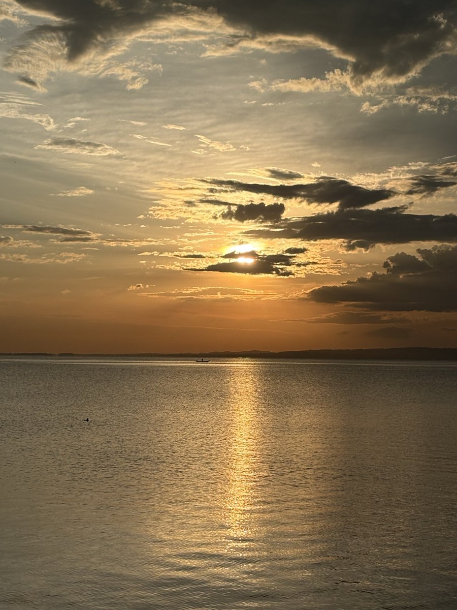Kadathi (@lucindajanet) on Twitter photo 