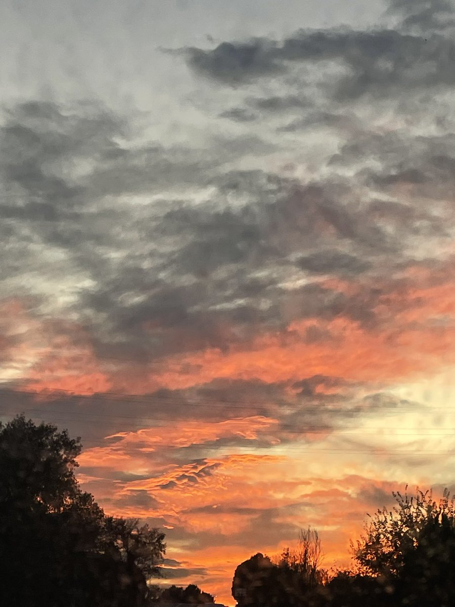 MeteoMoià tweet media