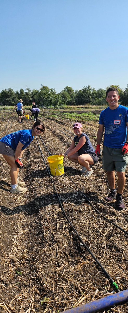 LogicMonitor's tweet image. Urban Roots brings together Austin teens learning to lead & families who need fresh food. Last week, our team planted cabbage @ their South ATX Farm. It's the kind of work we make time for. Through LM Cares, LMers gets paid volunteer time each quarter to show up where it matters.