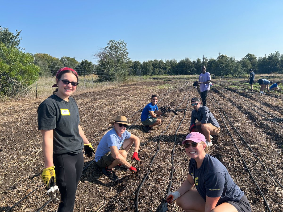 LogicMonitor's tweet image. Urban Roots brings together Austin teens learning to lead & families who need fresh food. Last week, our team planted cabbage @ their South ATX Farm. It's the kind of work we make time for. Through LM Cares, LMers gets paid volunteer time each quarter to show up where it matters.
