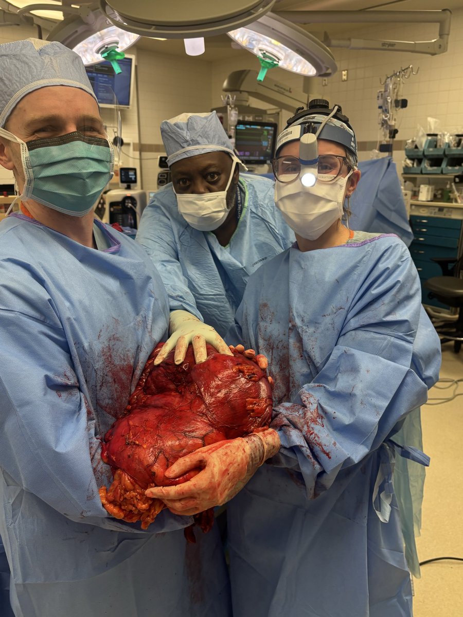 Ali Althans tweet media