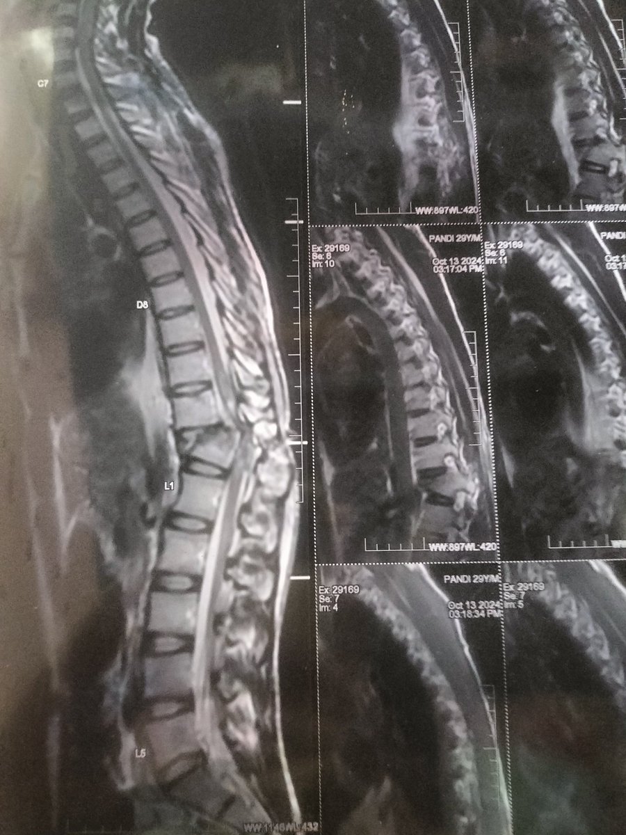 Alpha_Protector tweet media