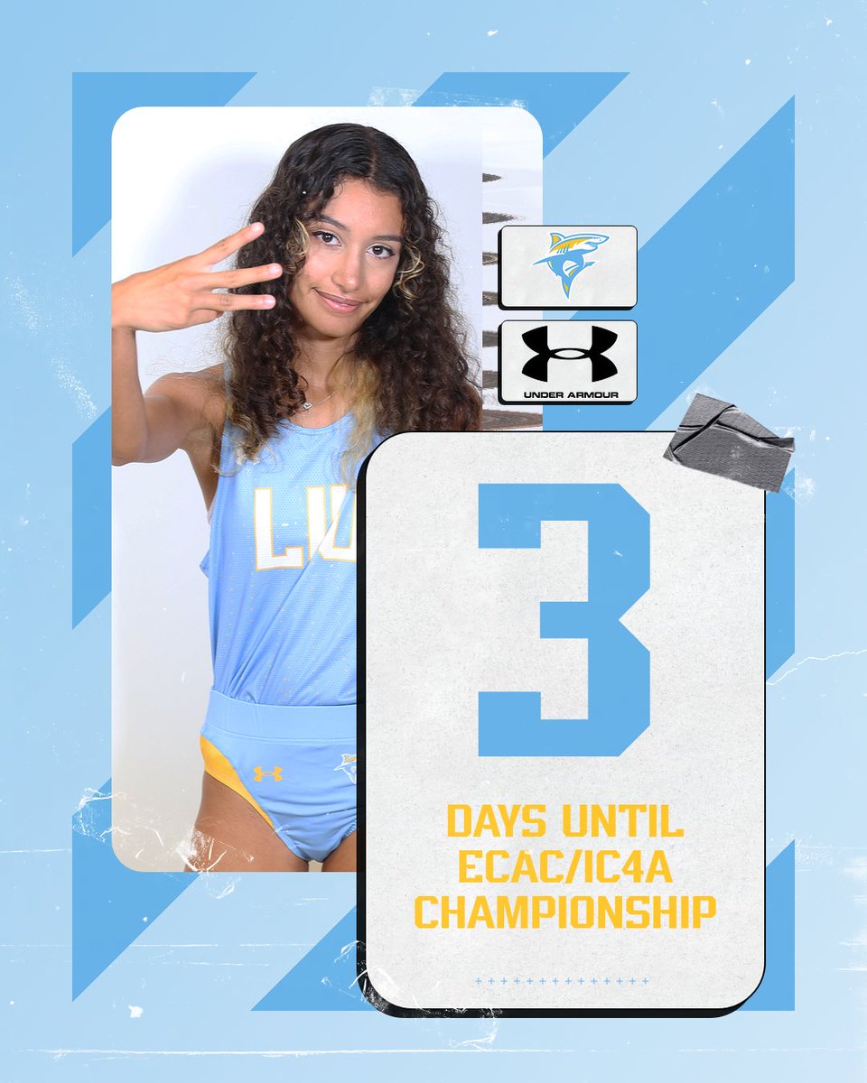 The countdown is on! #FinsUp 🦈