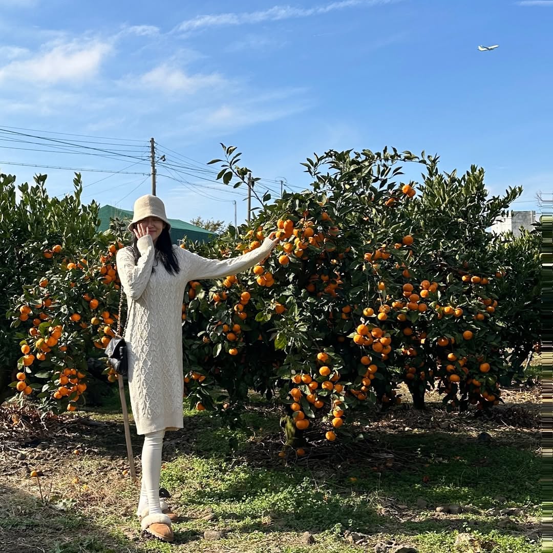 mikey10101011's tweet photo. Sunshine, oranges, and a little peace of mind
#GoodVibesOnly #FreshAndFree #OrangeFields #HappySoul #ColorfulMoments #SunnyDays https://t.co/xQsNkNoPqM