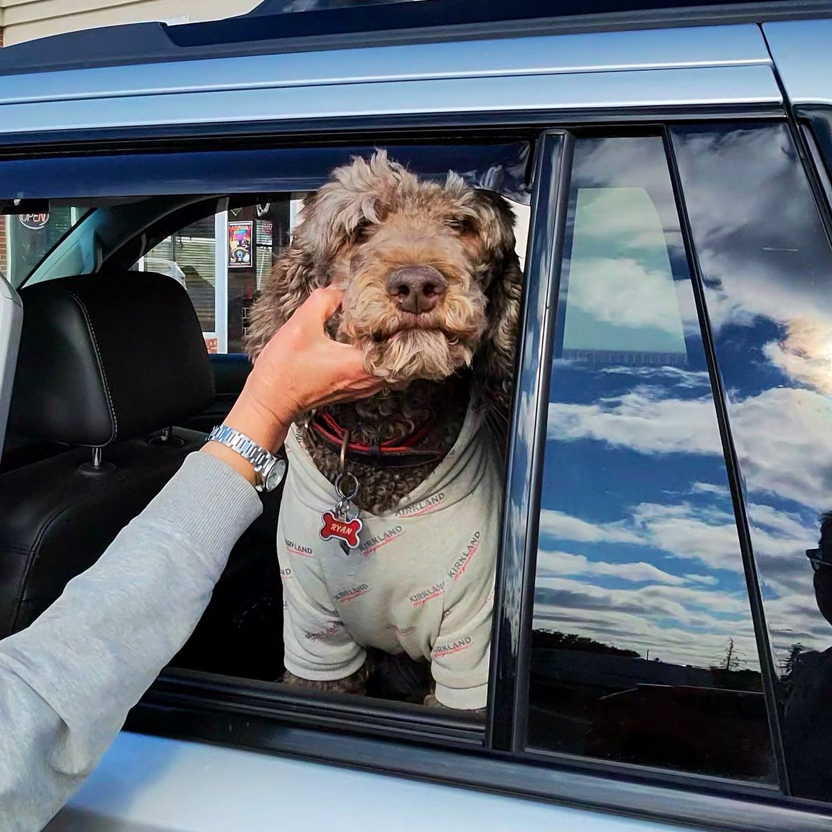 So embarrassing when people do this to me! I have street cred you know? #spoo #spooinatruck