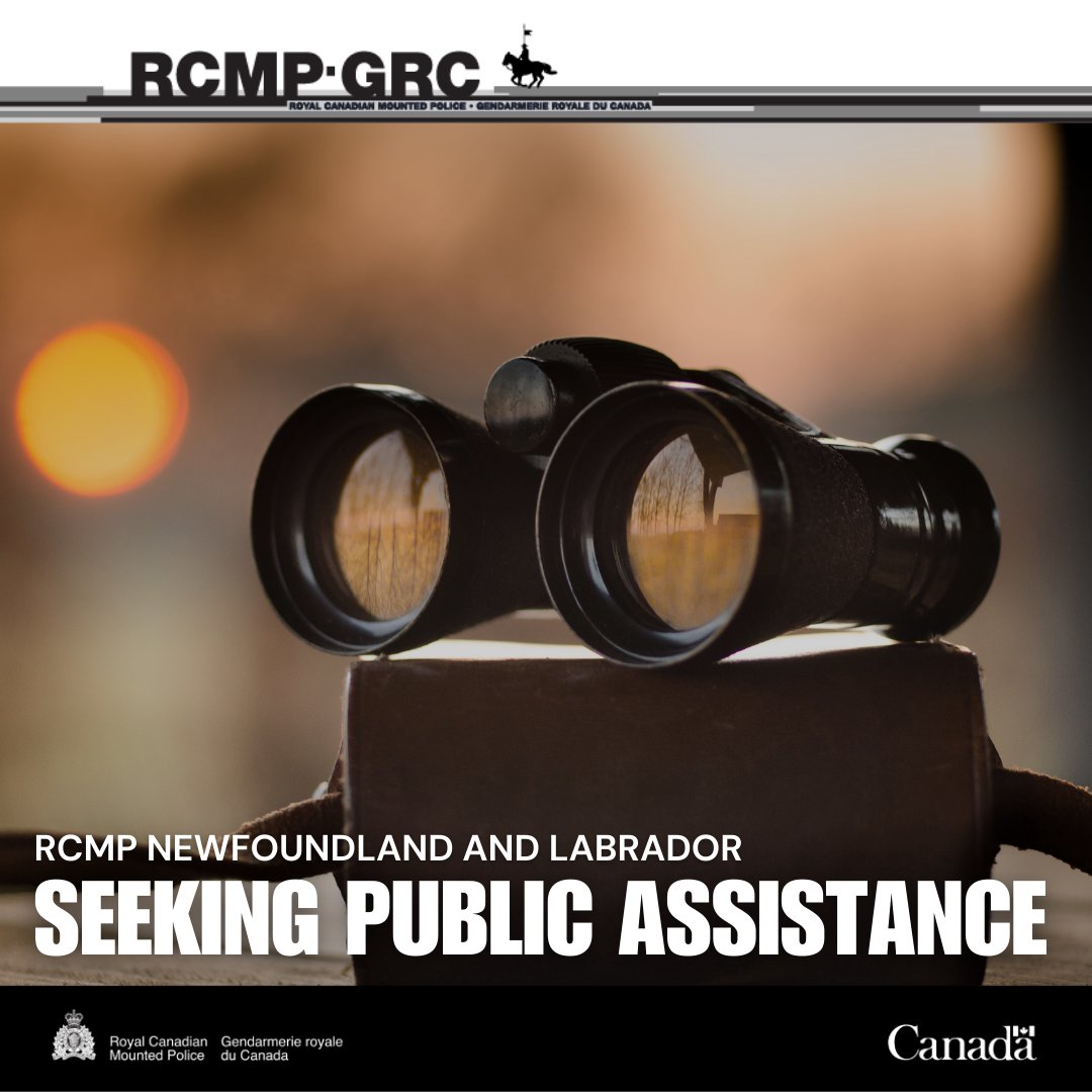 RCMP Newfoundland and Labrador tweet media