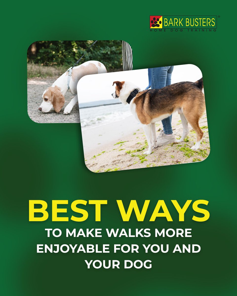 BarkArlington's tweet image. If walks feel like a tug-of-war, it’s time for a change.

Our trainers can help turn frustration into focus. 🦮

#barkbusters #dogtraining #positivedogtraining