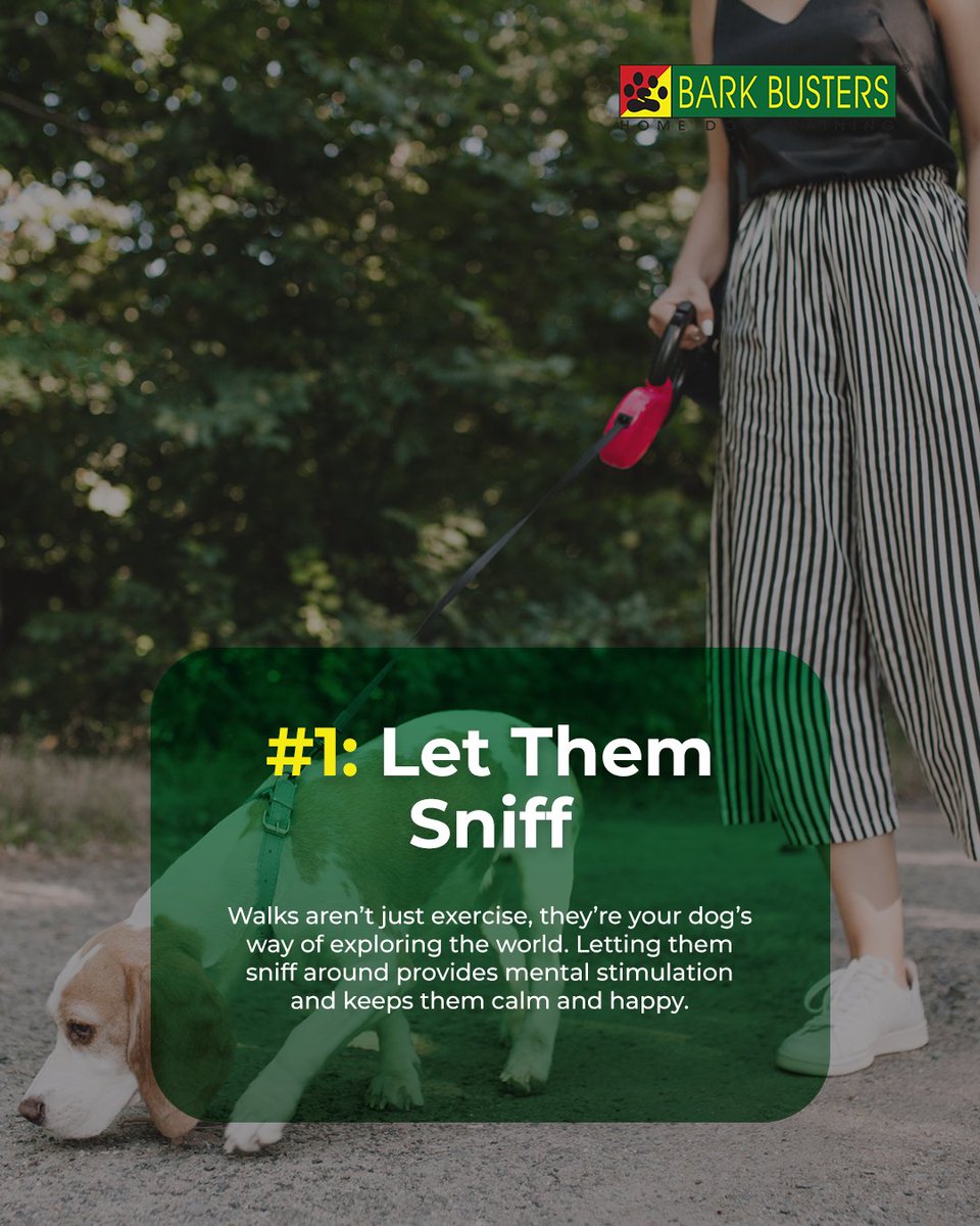 BarkArlington's tweet image. If walks feel like a tug-of-war, it’s time for a change.

Our trainers can help turn frustration into focus. 🦮

#barkbusters #dogtraining #positivedogtraining