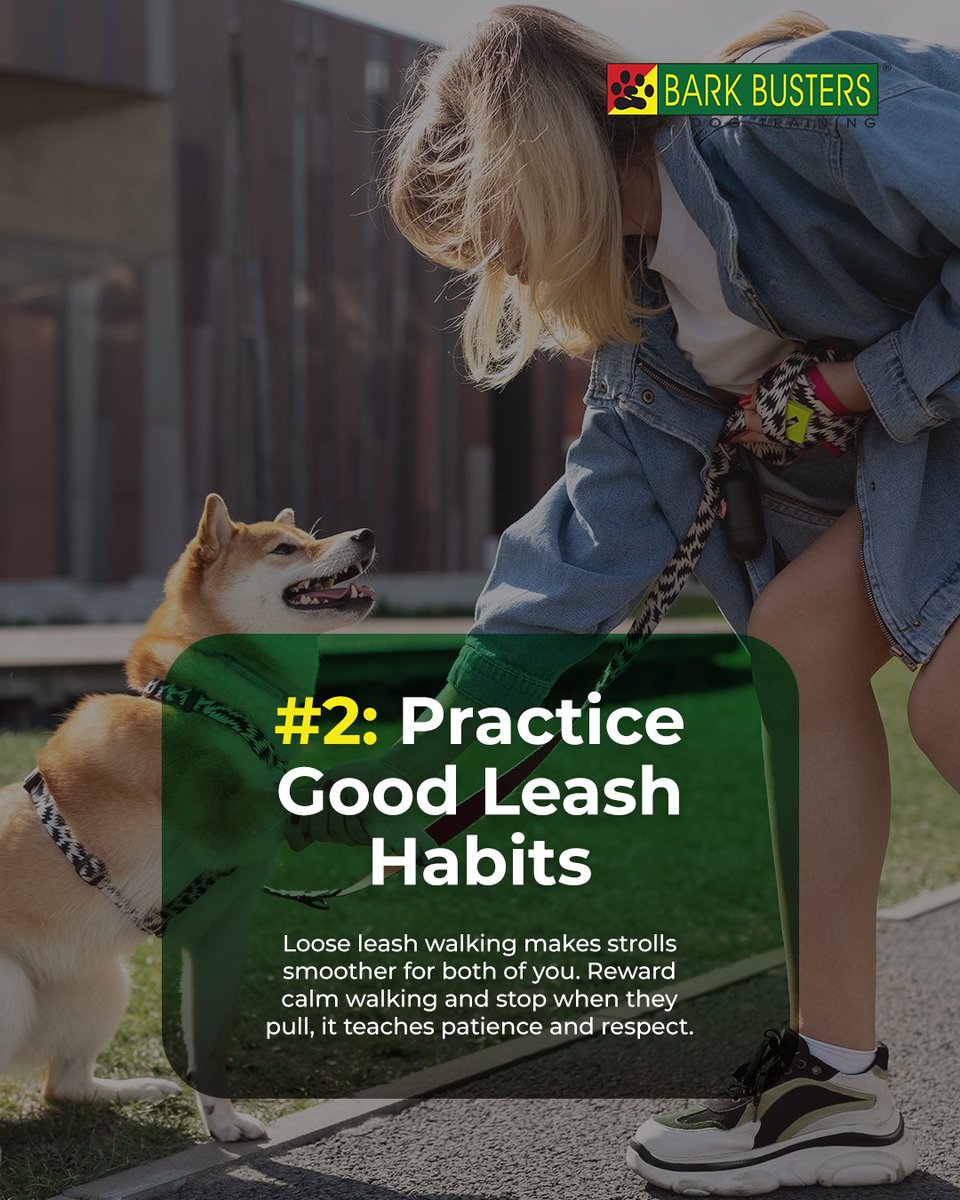 BarkArlington's tweet image. If walks feel like a tug-of-war, it’s time for a change.

Our trainers can help turn frustration into focus. 🦮

#barkbusters #dogtraining #positivedogtraining