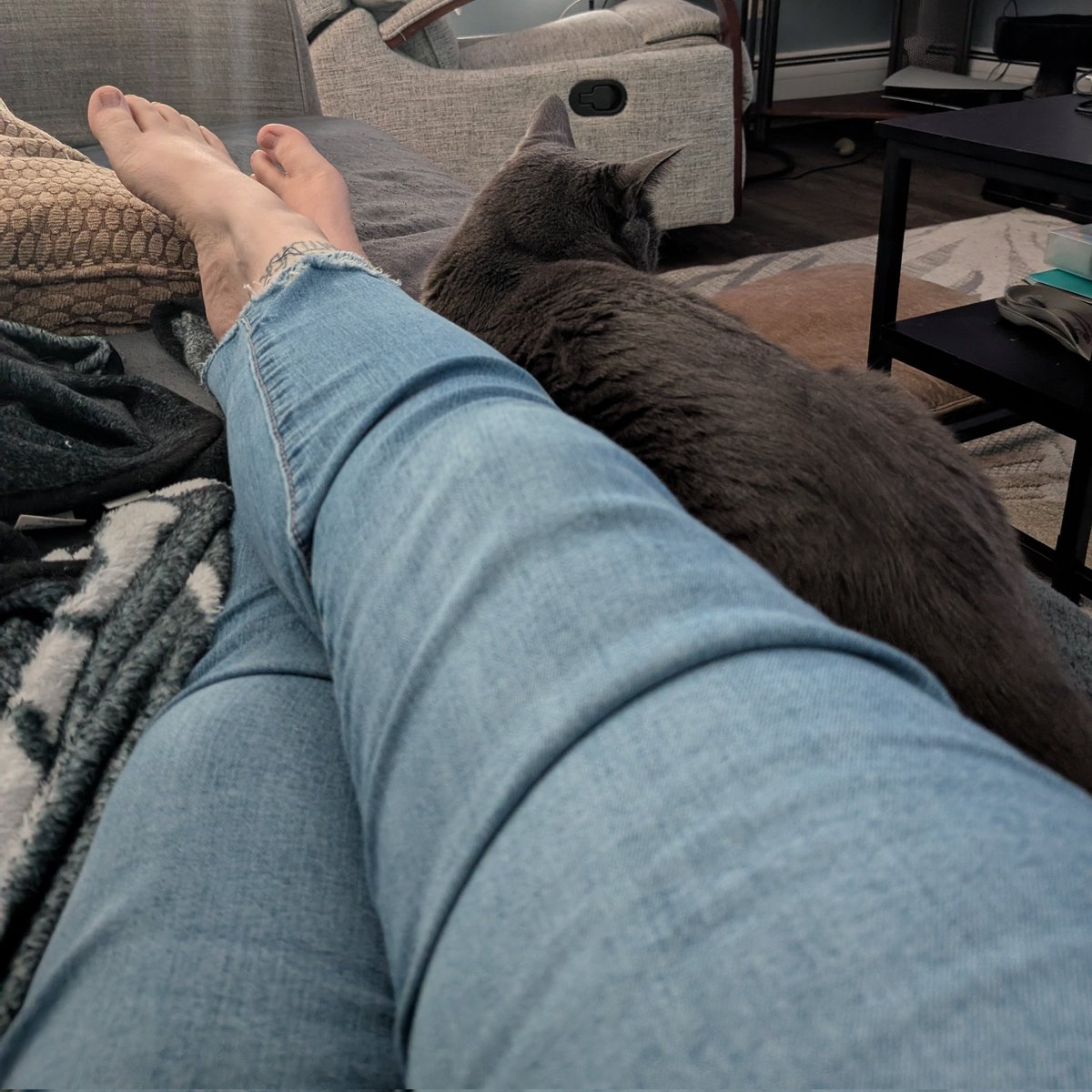 Ginger And Turnip tweet media