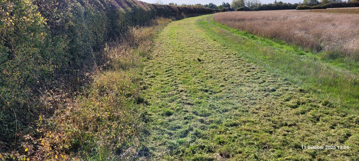 Woody growth on grass margins being devoured by the Spearhead Sniper SHD.
<a href="/SpearheadWorld/">Spearhead Machinery</a> 
<a href="/Sharmansagri/">Sharmans Agricultural</a> 
#management 
#margins
#farming