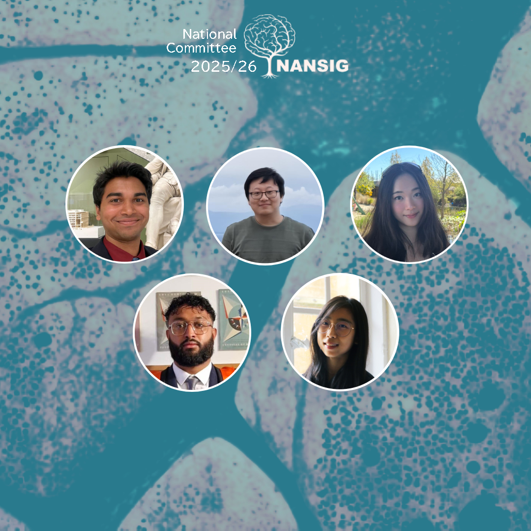 NANSIG (Neurology and Neurosurgery Interest Group) tweet media