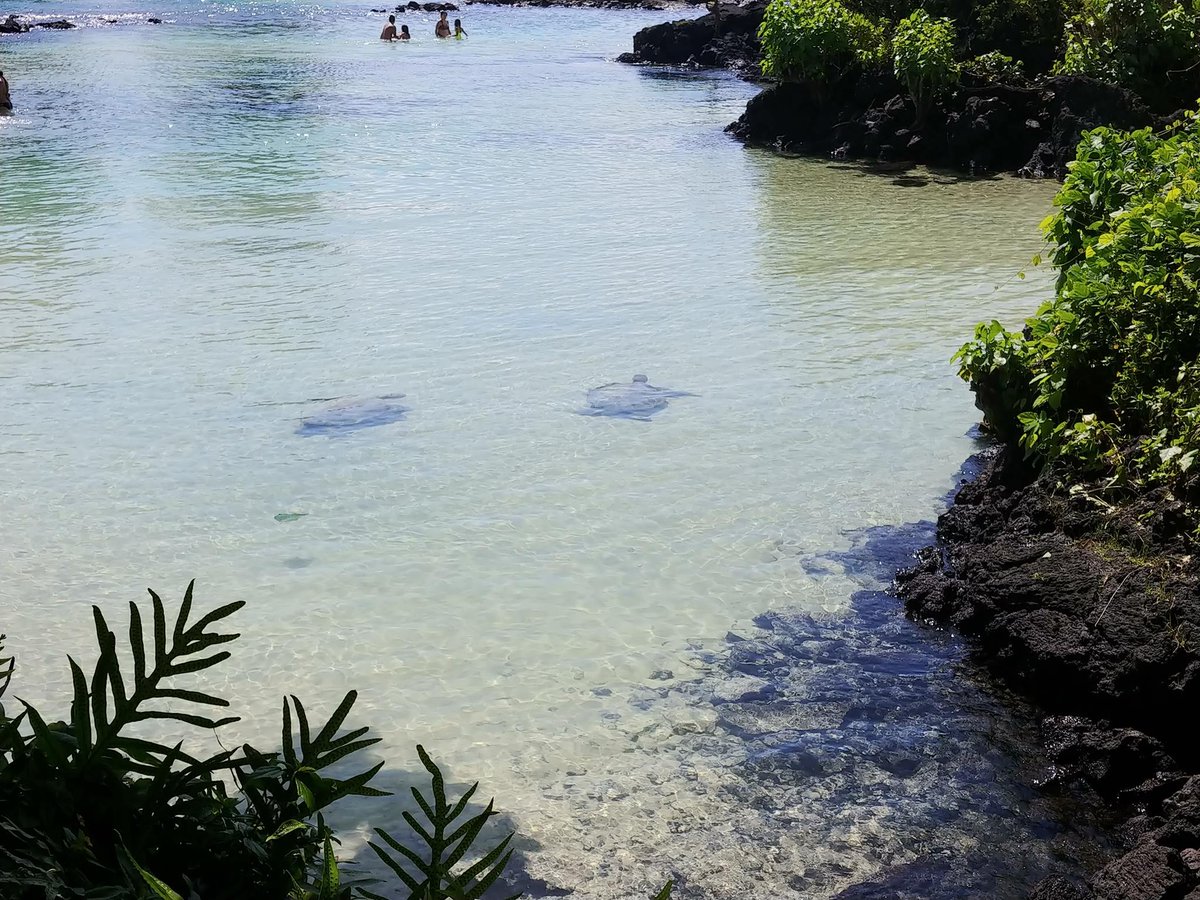 Noah Kagan tweet media